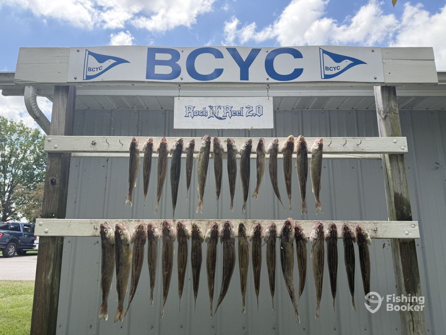 A display of freshly caught fish arranged on a board at the BCYC, showcasing a successful fishing trip.