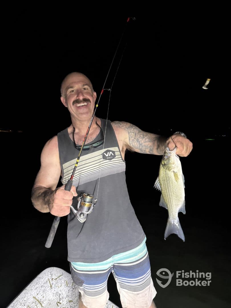 An angler proudly displaying a freshly caught Striped Bass while fishing at night.