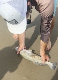 Angler holding a large Speckled Trout on the beach, showcasing a successful catch during a coastal fishing trip.