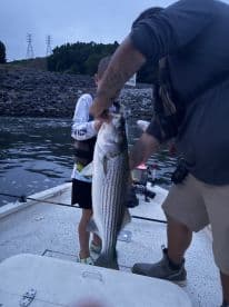 A young angler is assisted by an adult while proudly displaying a large striped bass on a boat during an evening fishing trip.