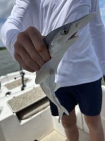 A young angler proudly displaying a small shark while fishing on a boat, showcasing the excitement of a successful catch.