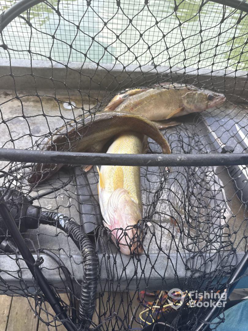 Kids only want to fish now!