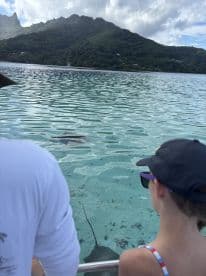 A child observing a stingray in shallow waters while on a boat trip, surrounded by a scenic mountainous backdrop.