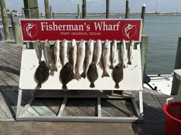 A variety of fish, including Redfish and Flounder, displayed on a catch board at Fisherman's Wharf in Port Aransas, Texas.