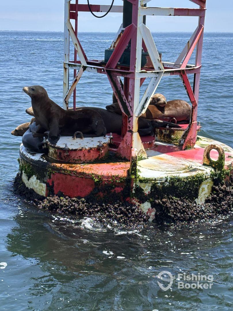 Thank you Captain Ryan