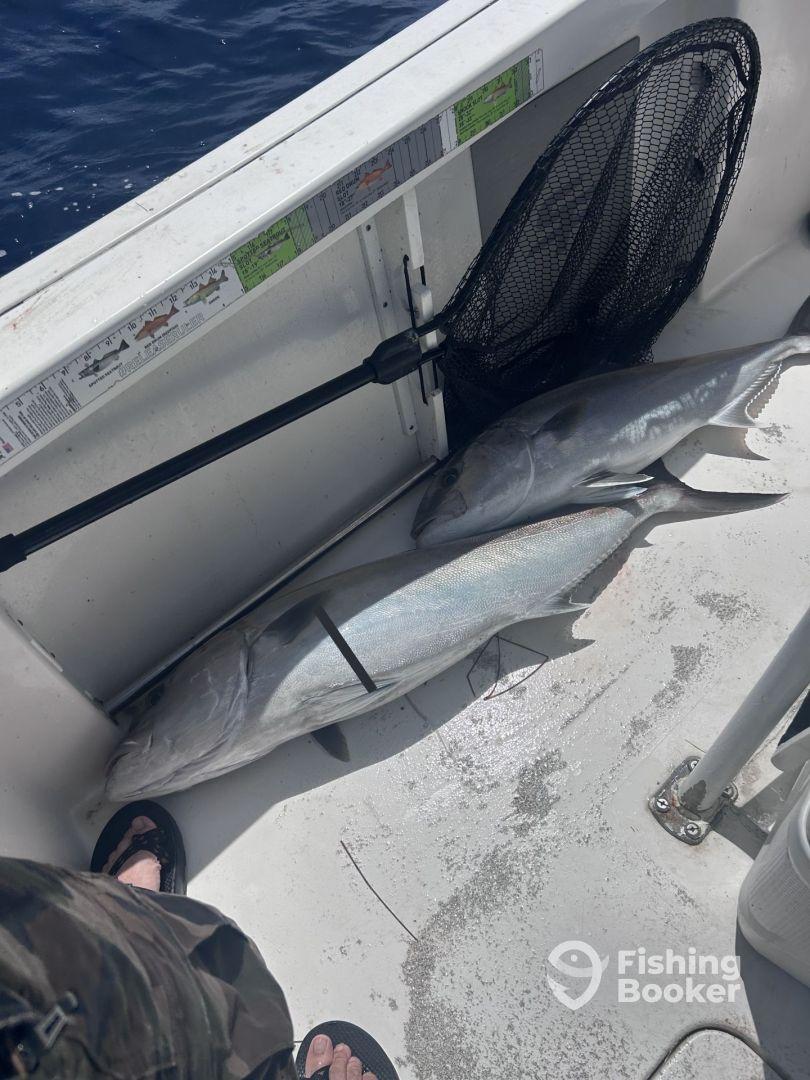 Two large fish are stored on the deck of a boat, showcasing a successful offshore fishing trip.