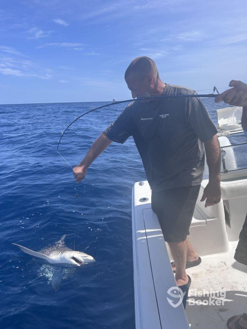 An angler is reeling in a shark while fishing offshore, showcasing the excitement of deep-sea fishing.