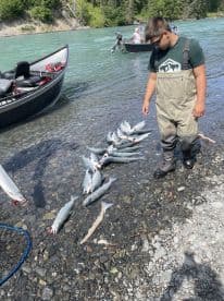 A young angler stands by a collection of freshly caught salmon on the shore, showcasing a successful fishing trip in a scenic river environment.