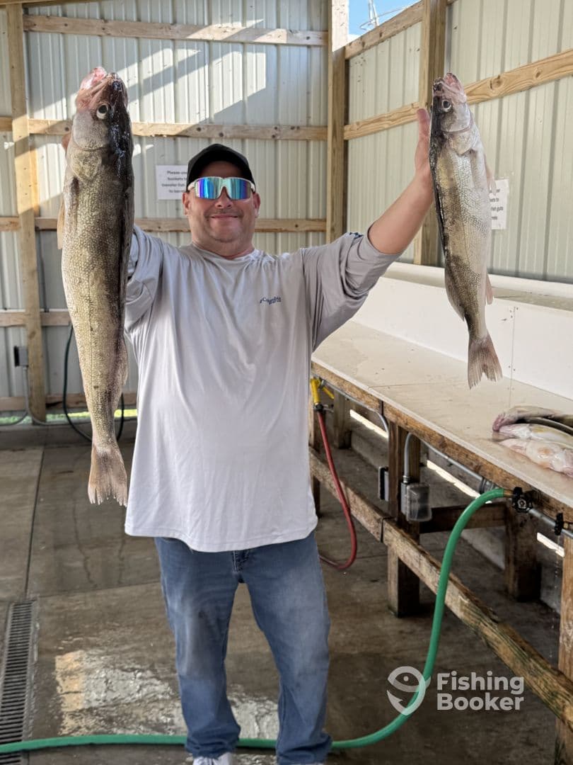 Angler proudly displaying two large Walleye after a successful fishing trip, showcasing the catch in a well-lit cleaning station.