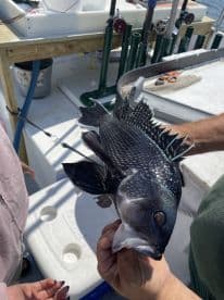 An angler proudly displaying a large Black Grouper while on a fishing charter, with the boat's interior visible in the background.
