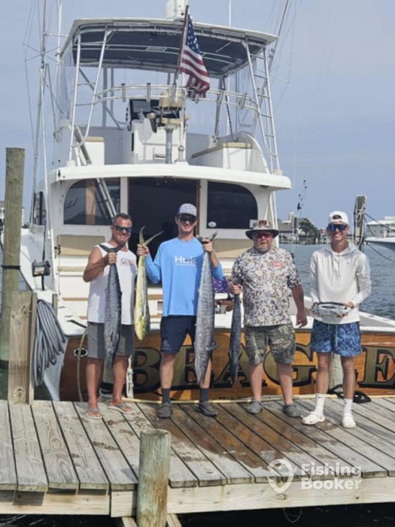 Found some wahoo