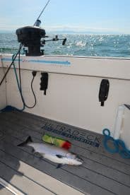 A freshly caught fish displayed on the deck of a boat, showcasing the marine flooring and fishing equipment in a sunny fishing environment.
