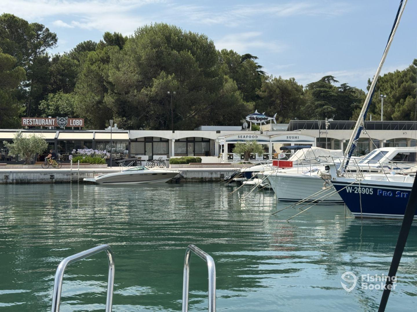 Initiation in Sea Fishing 