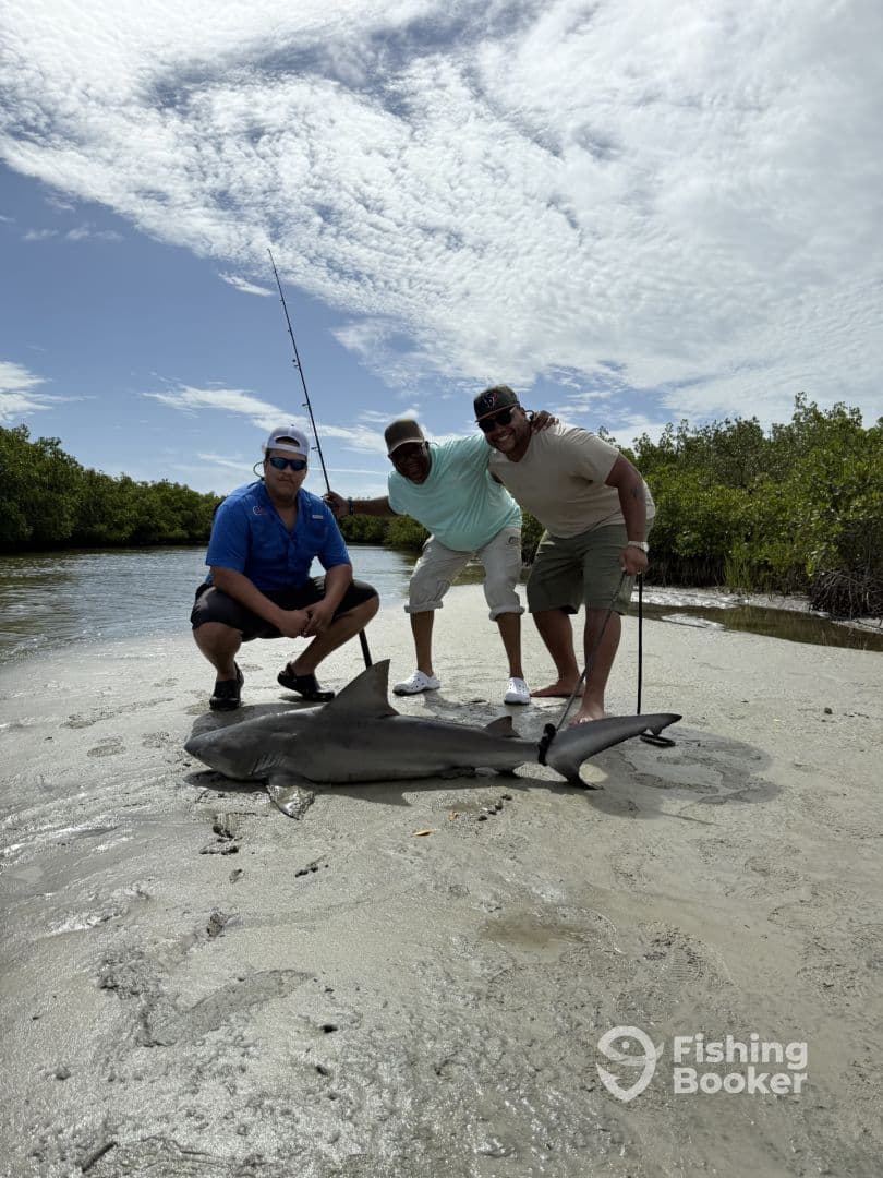 Three anglers proudly displaying a caught shark on a sandy shore, showcasing their successful fishing trip in a mangrove area.