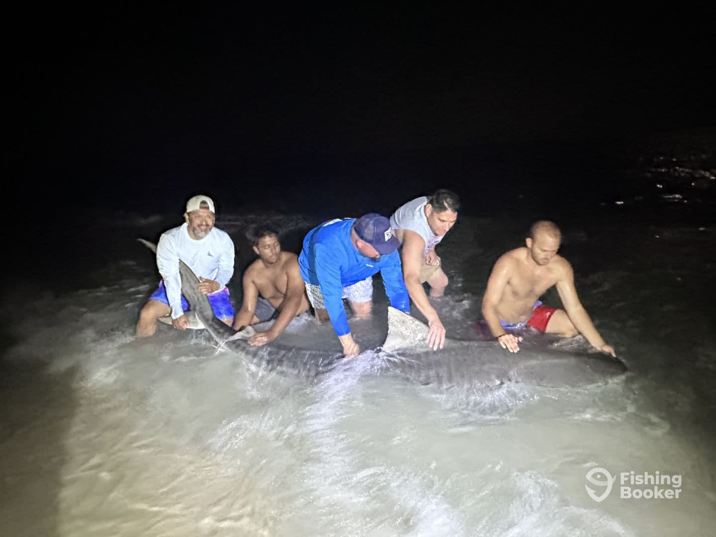 Group of anglers celebrating a successful catch of a large shark during a night fishing session on the beach.
