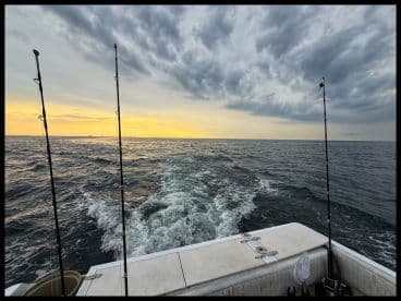 A scenic view from the back of a fishing boat, showcasing fishing rods against a vibrant sunset over the ocean.