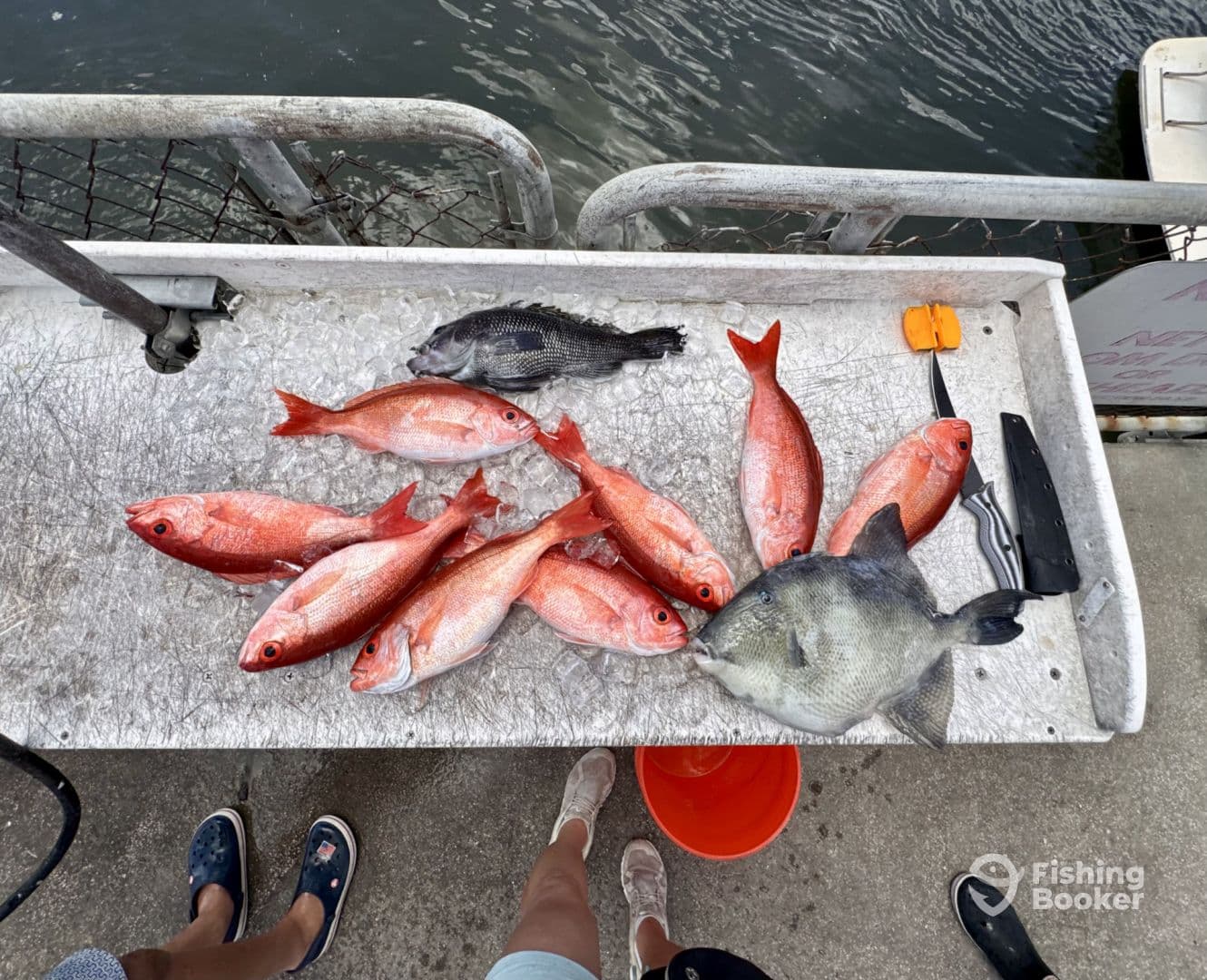 Fabulous Family Day on the Water