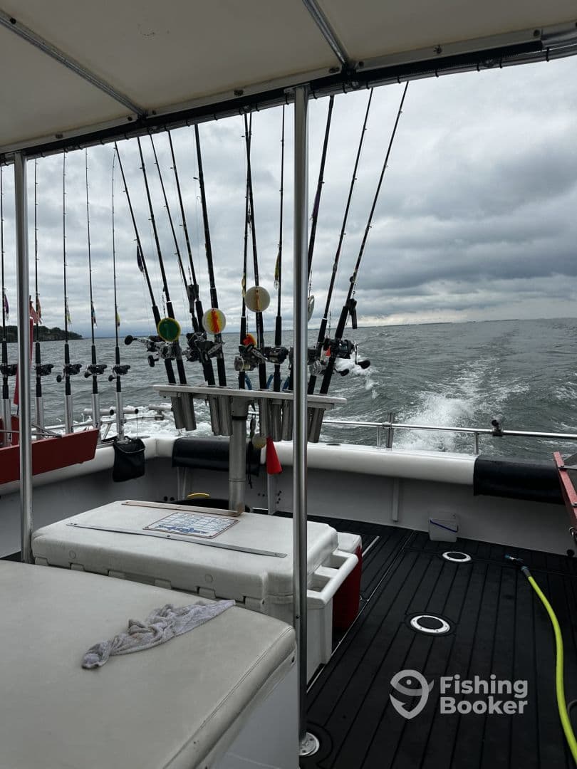 Interior view of a fishing boat showcasing multiple fishing rods and a clean deck, ideal for a day of deep-sea fishing.