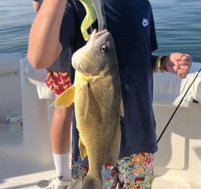 A young angler proudly displaying a large Yellowtail Snapper while fishing on a boat.