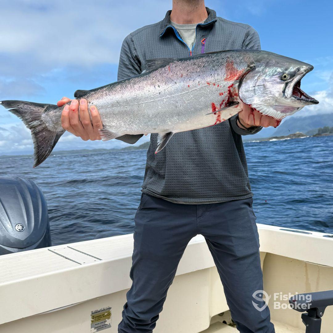 Captain Jon is great.