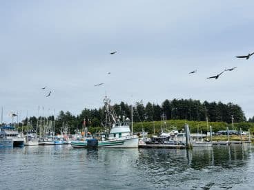 A scenic view of a bustling marina with various fishing boats docked, surrounded by lush greenery and birds in flight.