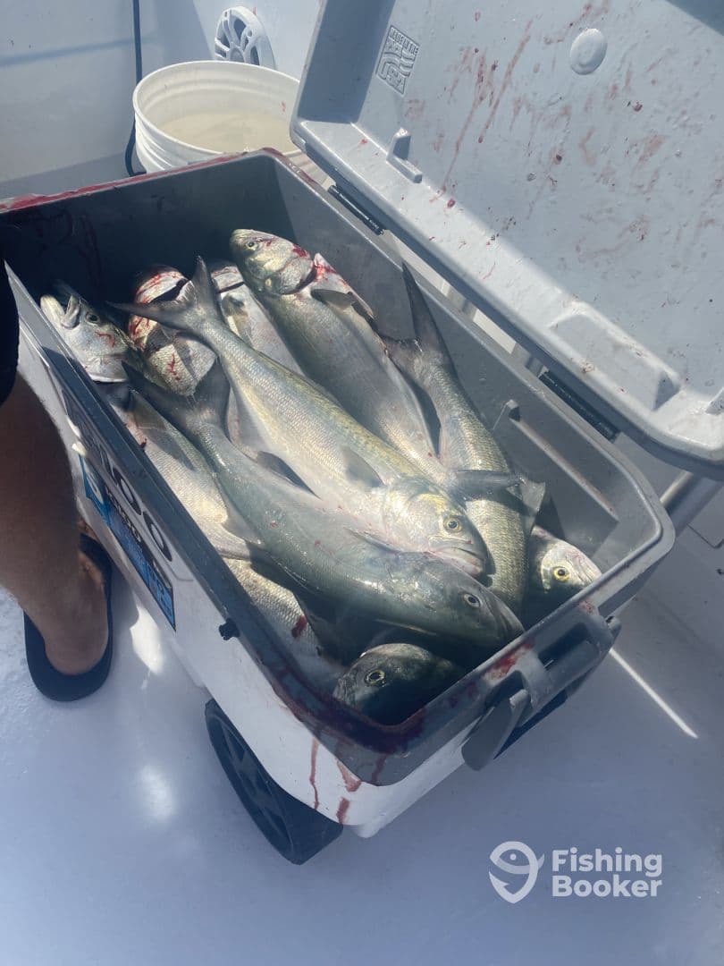 A cooler filled with freshly caught fish, showcasing a successful day of fishing on the water.