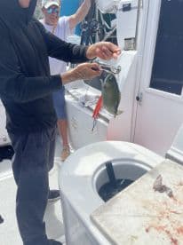 Angler reeling in a fish on a charter boat, showcasing a lively fishing environment with equipment in the background.