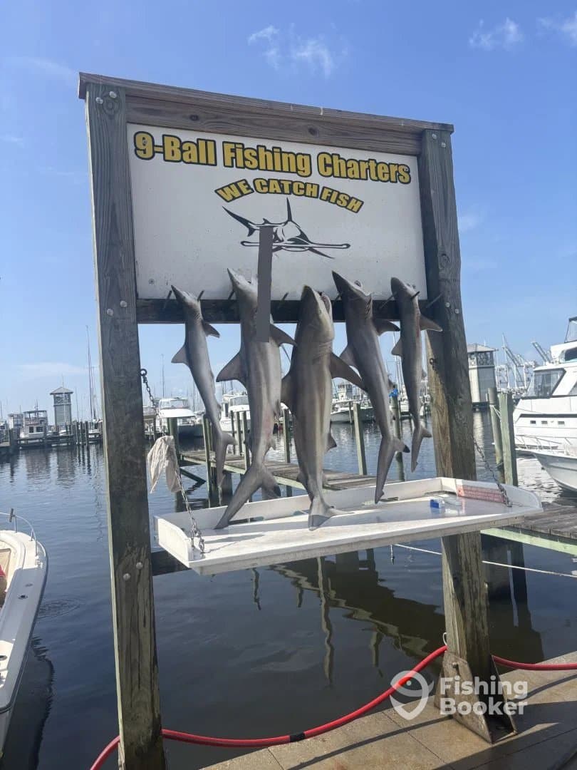 Deep Sea fishing with Captain Barry and Ryan 