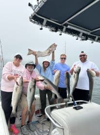A group of anglers proudly displaying their catch of striped bass on a fishing charter, showcasing a successful day on the water.