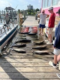 A group of anglers inspecting a variety of fish, including Snapper and Grouper, neatly arranged on a dock after a successful fishing trip.