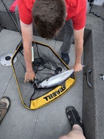 A young angler is reeling in a Silver Salmon using a net on a fishing boat, showcasing the excitement of the catch.