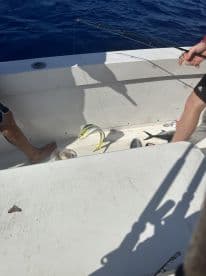 Two anglers actively fishing on a boat, with a Mahi Mahi visible on the deck, showcasing a vibrant blue ocean backdrop.