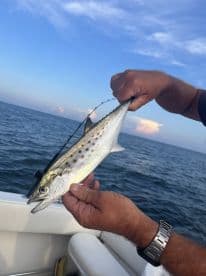 An angler proudly displaying a Spanish Mackerel while fishing from a boat in open waters.