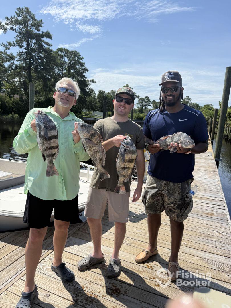 Three anglers proudly displaying their catch of Black Drum and Redfish on a sunny day at the dock.