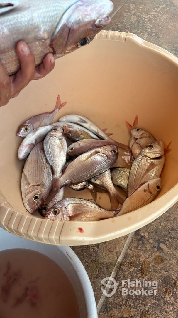 July fishing trip