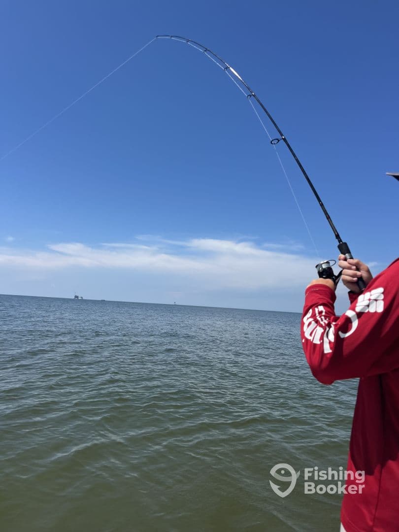 An angler casting a line in open waters, showcasing the excitement of fishing on a sunny day.