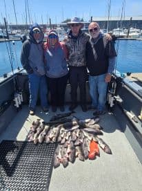 A group of four anglers proudly displaying their catch of multiple rockfish on a charter boat after a successful fishing trip.