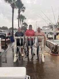 A group of anglers proudly displaying their catch of several Mackerel on a catch board at the marina, showcasing a successful fishing trip.