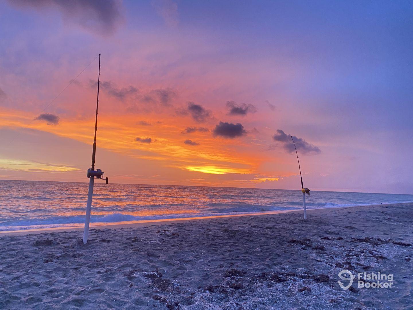 Trip for large families.