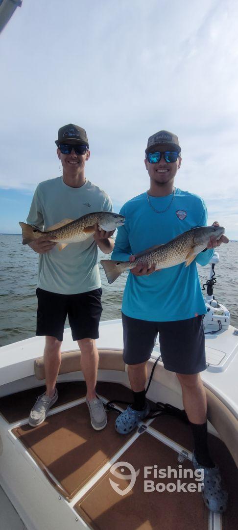 Tons of redfish
