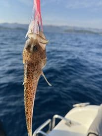 A close-up of a fish caught on a hook, showcasing its unique spotted pattern against a backdrop of blue ocean water.