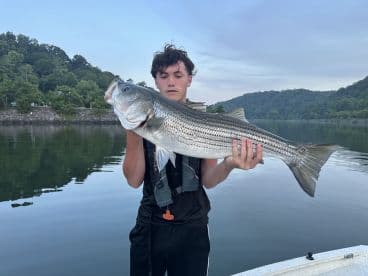 A young angler proudly displaying a large striped bass while fishing on a calm lake, surrounded by lush greenery.