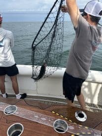 Angler actively reeling in a fish using a net while fishing on a boat, showcasing an engaging moment on the water.