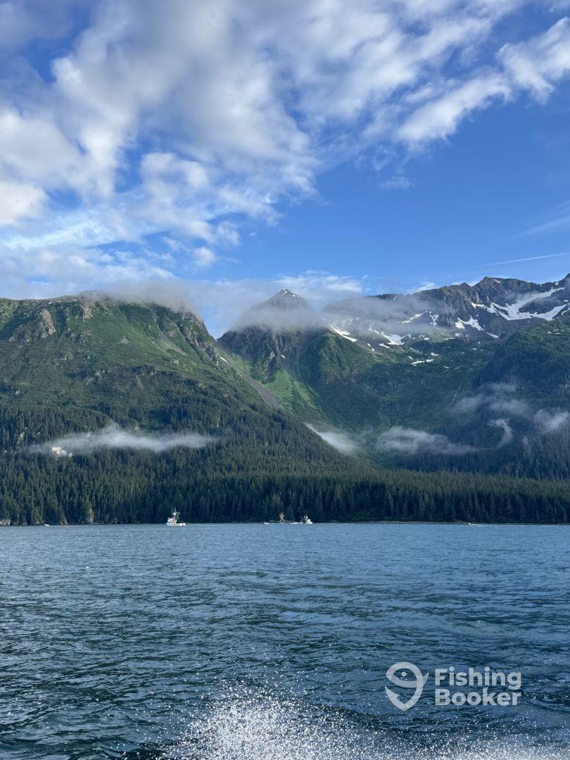 Fantastic Day of Fishing