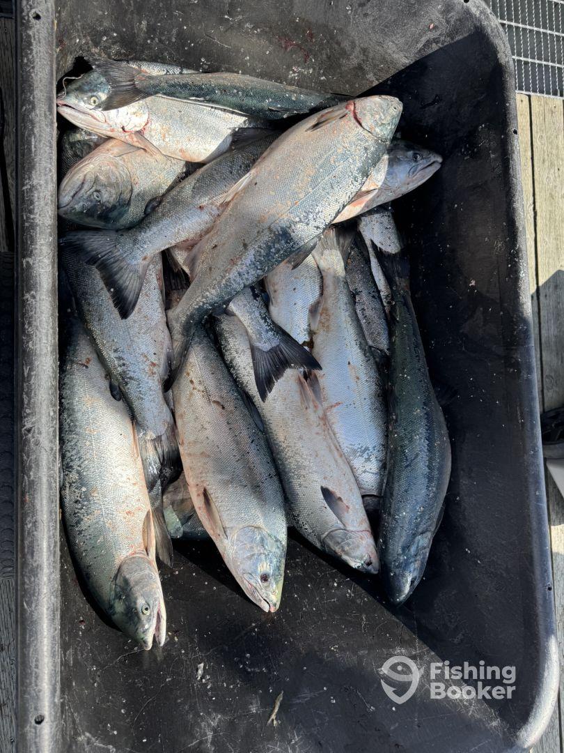 Fantastic Day of Fishing