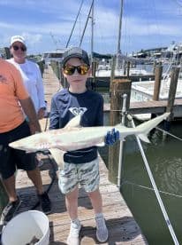 A young angler proudly displaying a caught shark at the dock, surrounded by a sunny marina setting.