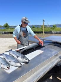 An angler filleting a freshly caught salmon at a cleaning station near the water, showcasing the catch from a successful fishing trip.