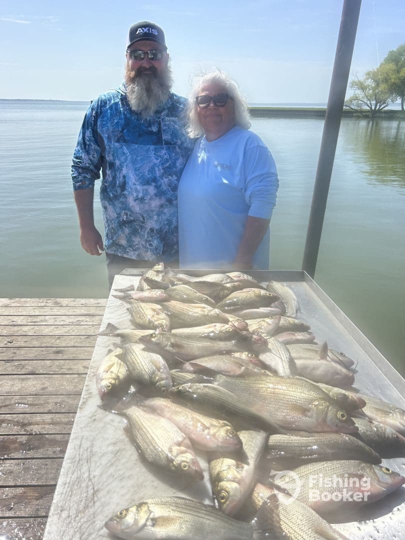 Two anglers proudly standing beside a catch of striped bass displayed on a cleaning table at a scenic waterfront.