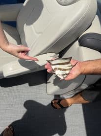 Two anglers proudly displaying a small fish while seated on a boat, showcasing a relaxed fishing experience.
