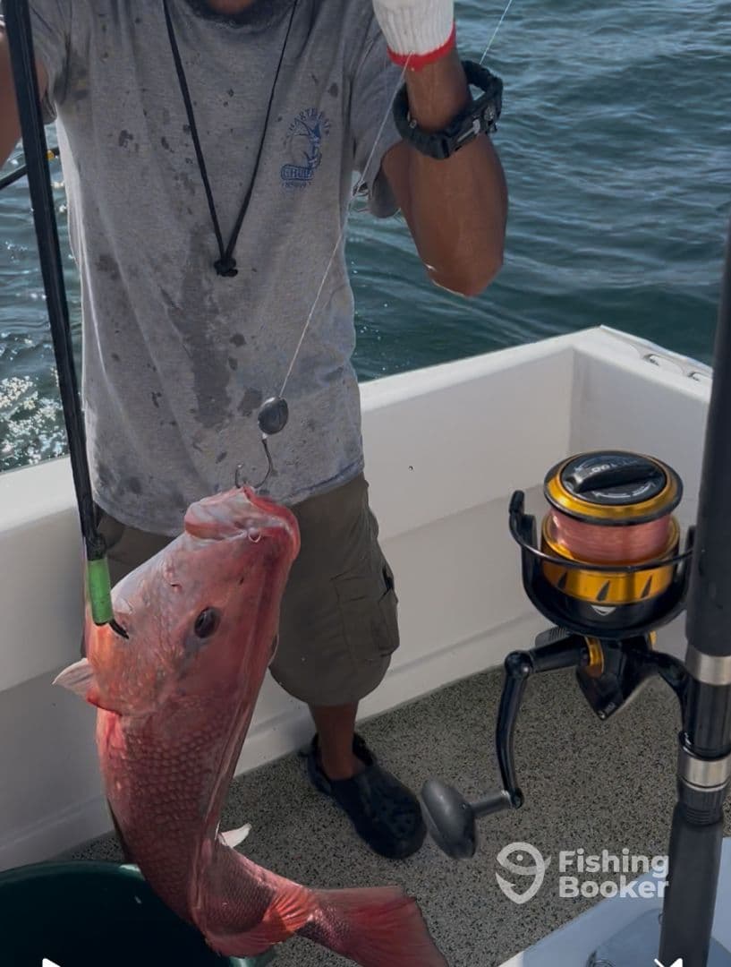 Angler reeling in a large Red Snapper while fishing on a boat, showcasing the excitement of the catch.
